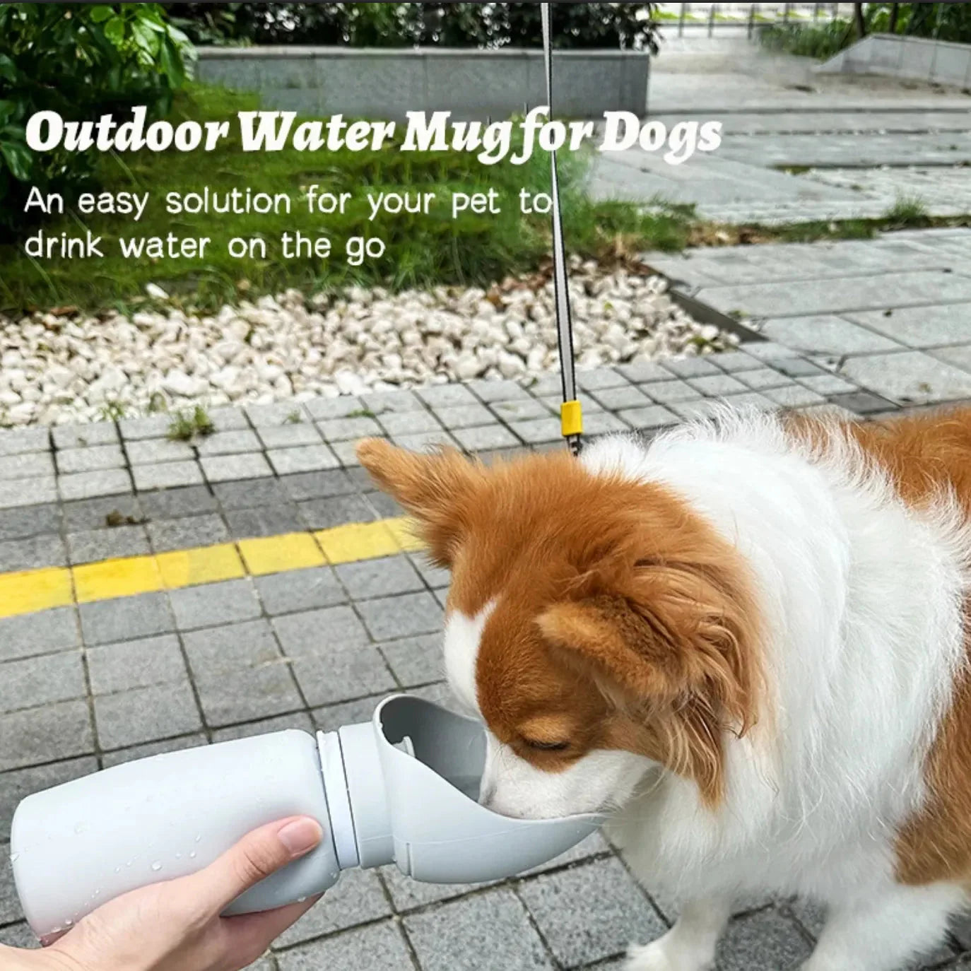 Folding pet water dispenser for dogs in use outdoors, featuring a leak-proof design and a large drinking trough.