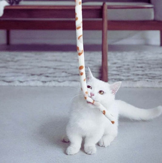 Interactive Feather Cat Toy Wand with a playful cat engaging, showcasing colorful caterpillar teaser for feline fun and exercise.