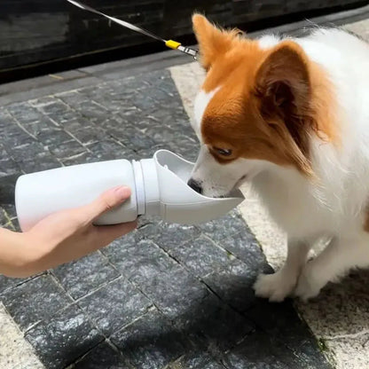 Folding pet water dispenser for dogs, outdoor use, leak-proof, 550ml capacity.