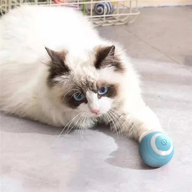 Magic Cat Ball Toy engaging a playful cat with an interactive electric ball.