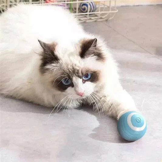 Magic Cat Ball Toy engaging a playful cat with an interactive electric ball.
