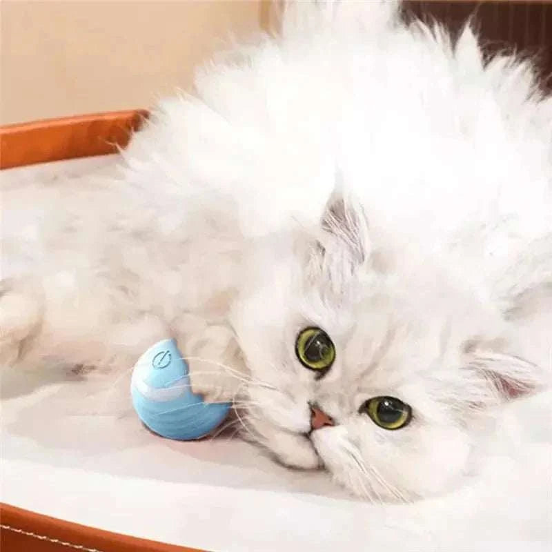 Magic Cat Ball Toy with a fluffy white cat on a bed.
