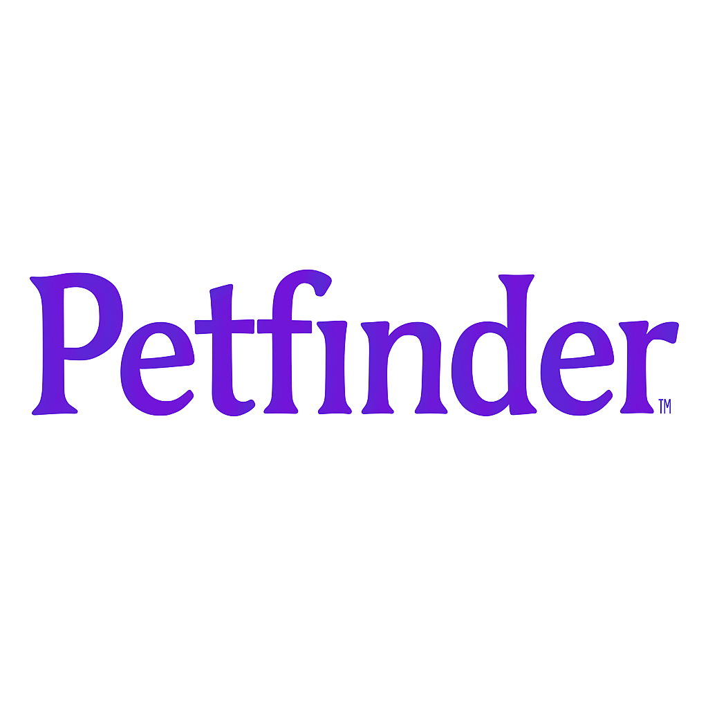Partner 4